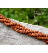 Rudraksha 6 mm, 1 ks