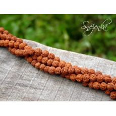 Rudraksha 6 mm, 1 ks