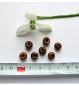 Kostěné kuličky hnědé 8 mm, 1 ks
