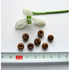 Kostěné kuličky hnědé 8 mm, 1 ks K004