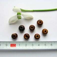 Kostěné kuličky hnědé 10 mm, 1 ks