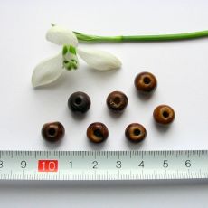Kostěné kuličky hnědé 10 mm, 1 ks K005