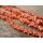 Korál tyčinky světle růžové, návlek cca 40 cm