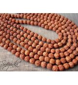 Rudraksha 8 mm, 1 ks