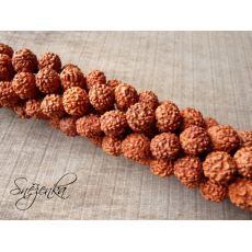 Rudraksha 10 mm